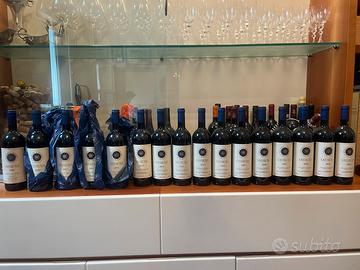 Collezione BOLGHERI SASSICAIA