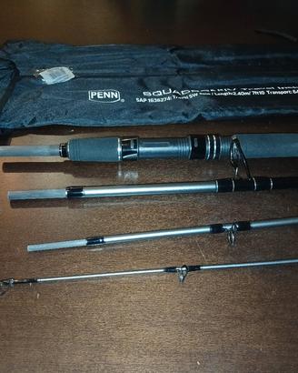 canna da pesca penn