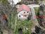 Immagine 26