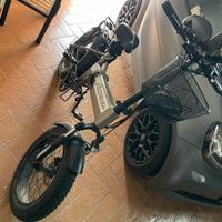 Bici elettrica ECORUSH 250w