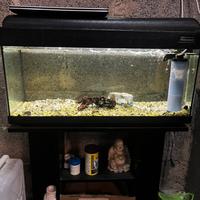 Acquario 80L completo