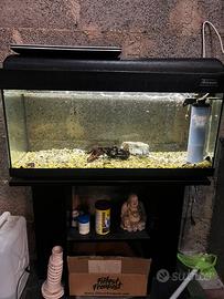 Acquario 80L completo