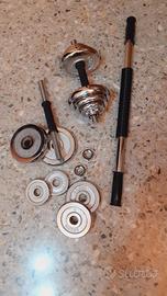 Pesi culturismo e coppia manubri con mollone