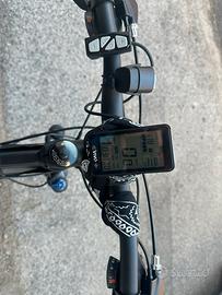 Bicicletta elettrica 250w