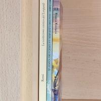 3 LIBRI RARI (fuori catalogo) su GIACOMO LEOPARDI