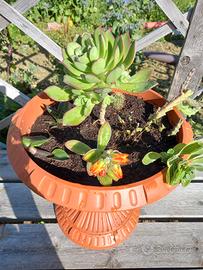 Fioriera Calice Piante decorative 