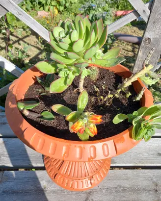 Fioriera Calice Piante decorative 