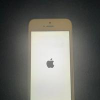 Iphone 5S  16 GB