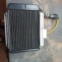 radiatore Malossi zip 