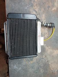 radiatore Malossi zip 