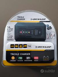 Mantenitore e caricabatterie auto,moto,camper ecc