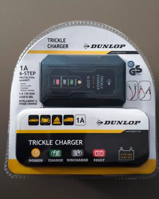 Mantenitore e caricabatterie auto,moto,camper ecc