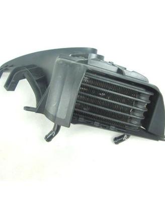 RADIATORE OLIO DX CON COVER BMW R 1150 ROCKSTER
