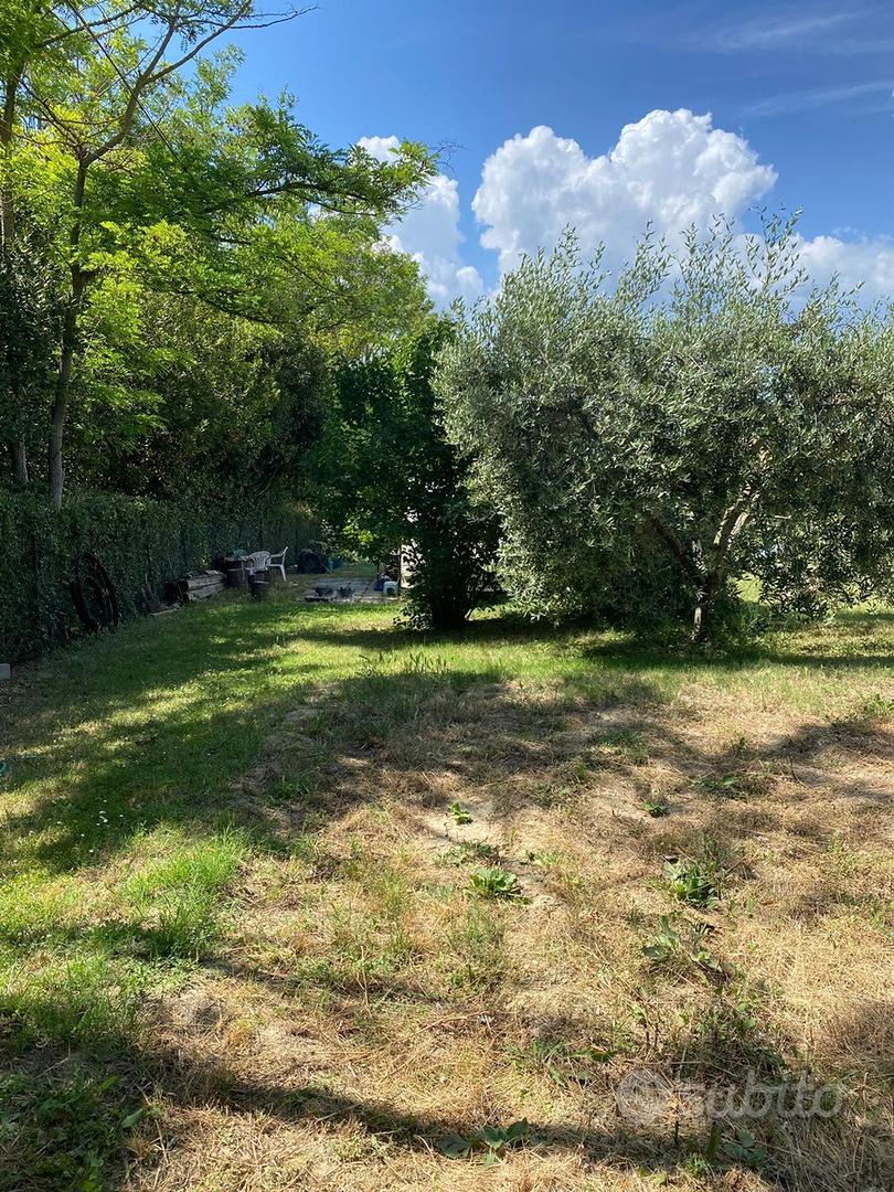 Terreno Agricolo 1200 MQ - Vista 5