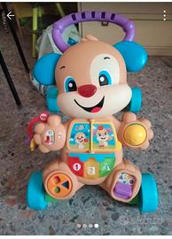 cagnolino Primi passi 