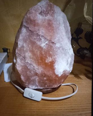 Lampada di sale rosa dell’Himalaya naturale