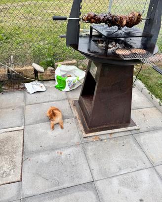 Barbecue braciere Spolert Radical Grill
