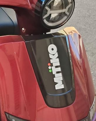 macchina per disabili 