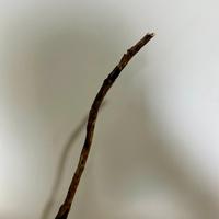 Accessori per acquari e terrari