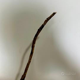 Accessori per acquari e terrari