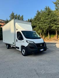Fiat Ducato Cassonato