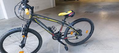 mtb bimbo 24"