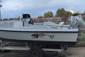 Barca conero delfino 4.50 + Honda BF 20