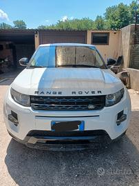 Evoque