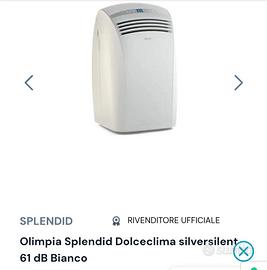 Condizionatore portatile 