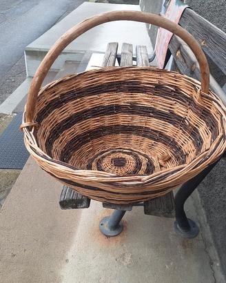 Cesta.
