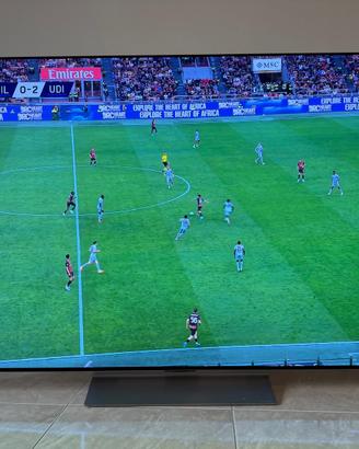 TV OLED evo con Dolby Atmos 65" LG