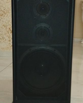 1 diffusore pioneer 190 watt