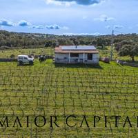 Berchidda | Terreno con vigneto di 2 ettari e casa