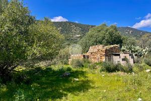 RUSTICO A VILLASIMIUS