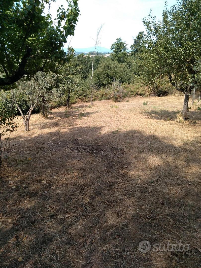 Terreno agricolo - Vista 3
