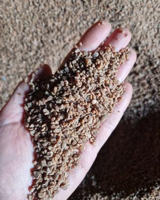 Nocciolino bianco asciutto