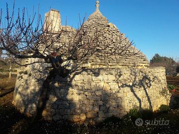 Baita/Chalet/Trullo - Putignano