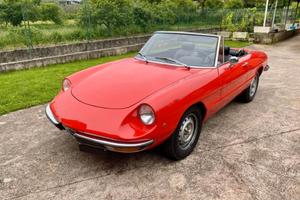 Alfa Spider Duetto TARGA ORO