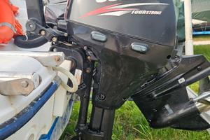 Suzuki DF 8  4t Lungo 2011