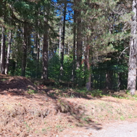 Terreno in sila edificabile camigliatello silano