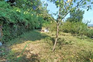 Terreno Agricolo Orte [Cod. rif 3255130VRG]