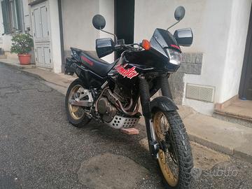 honda dominator