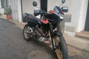 honda dominator