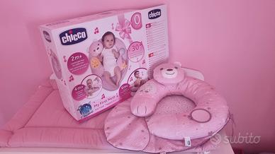 My first nest Chicco