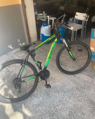 bicicletta schiano
