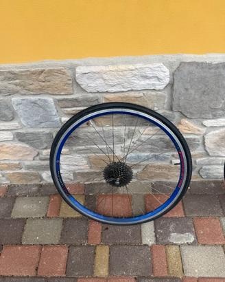 n.2 ruote bicicletta