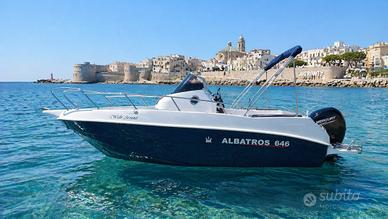 Albatros 646 Walk Around