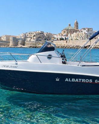 Albatros 646 Walk Around
