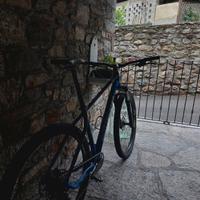 mtb Tg l