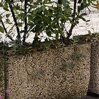 9 vasi in pietra lunghi 1 mt